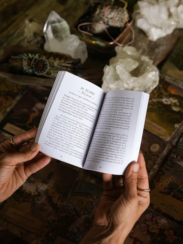 ANIMA MUNDI HERBAL ASTROLOGY ORACLE – Komplet kart in vodič — slika 4