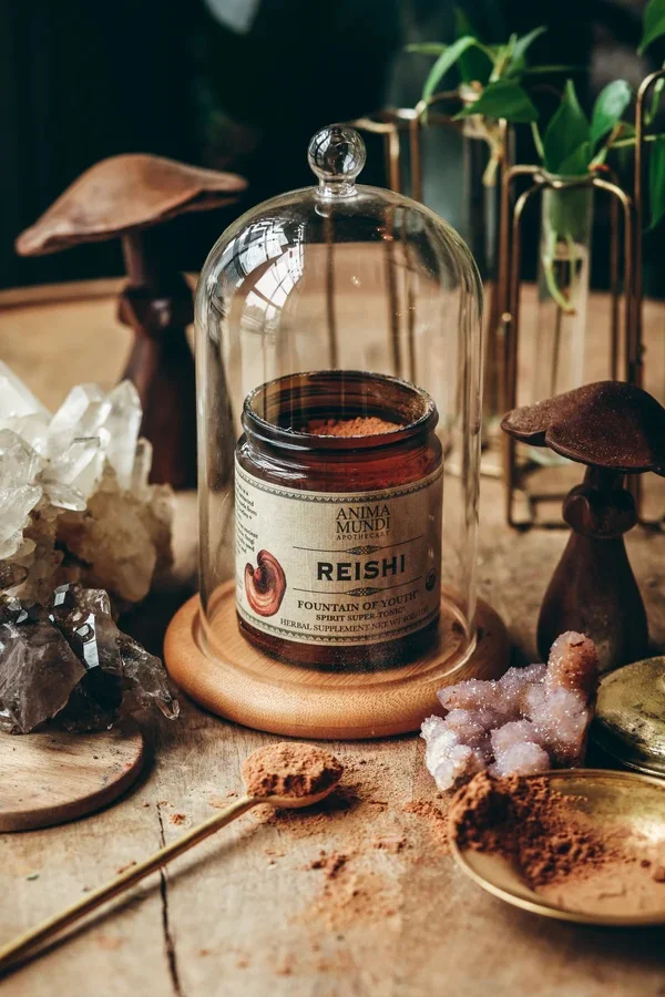 REISHI goba | kraljica tradicionalnih gob