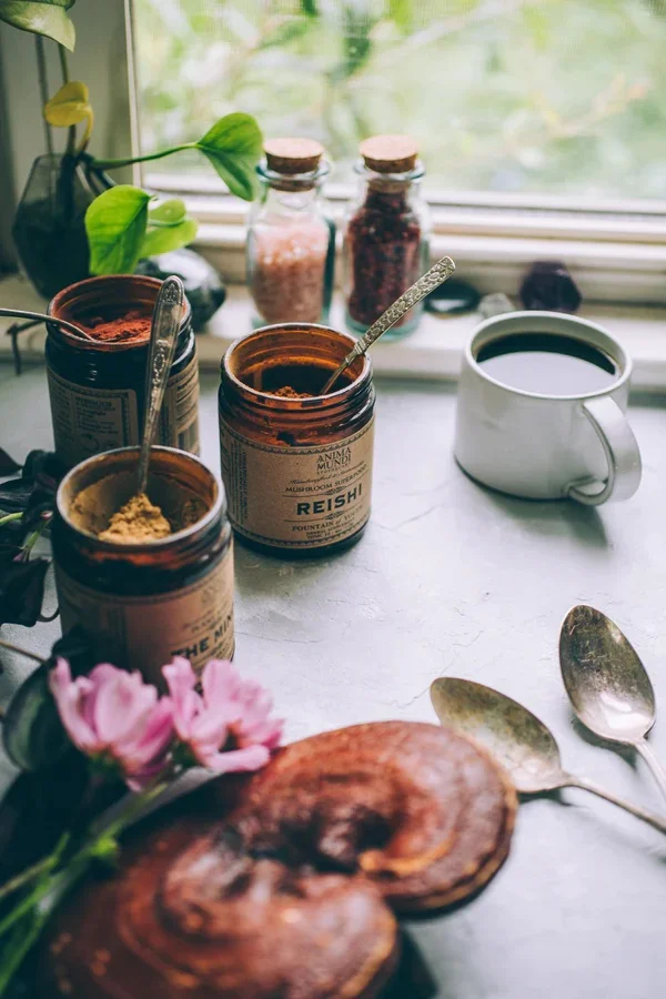REISHI goba | kraljica tradicionalnih gob — slika 3