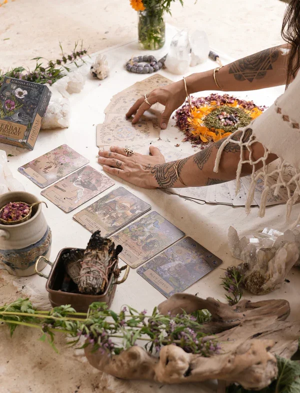 ANIMA MUNDI HERBAL ASTROLOGY ORACLE – Komplet kart in vodič — slika 2