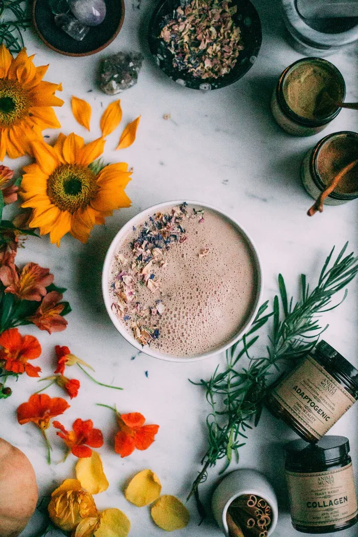 ADAPTOGENIC prah | 7 tradicionalnih gob + kakav — slika 5