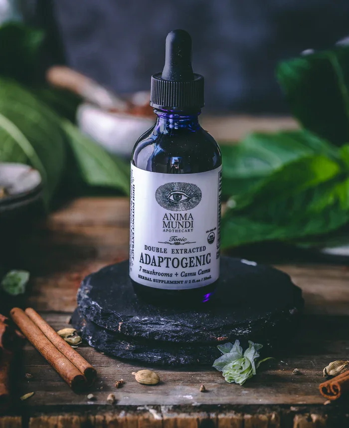 ADAPTOGENIC tonik | 7 tradicionalnih gob + camu camu — slika 3