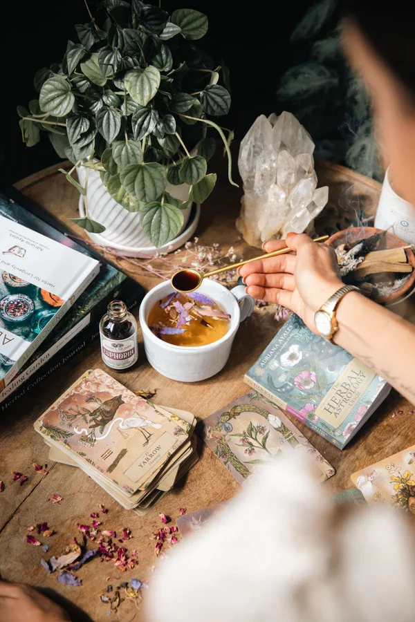 ANIMA MUNDI HERBAL ASTROLOGY ORACLE – Komplet kart in vodič — slika 6