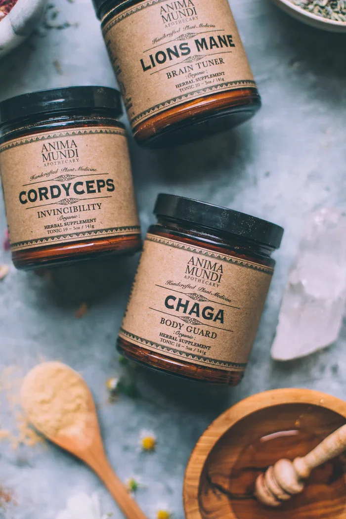 CHAGA | ritual počasnosti — slika 3