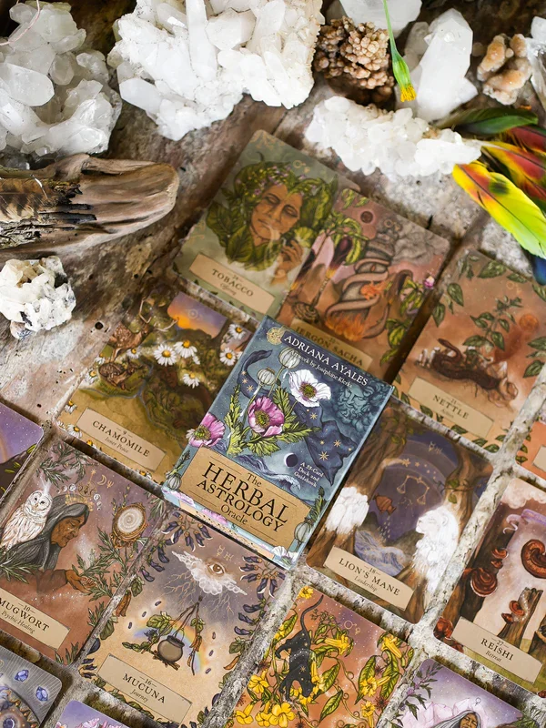 ANIMA MUNDI HERBAL ASTROLOGY ORACLE – Komplet kart in vodič — slika 3