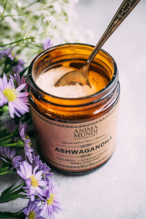 ASHWAGANDHA | Kraljica med koreninicami