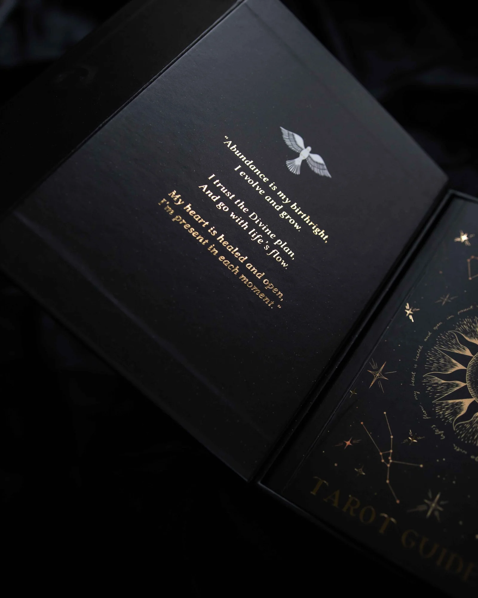 DREAMY MOONS TAROT — slika 16