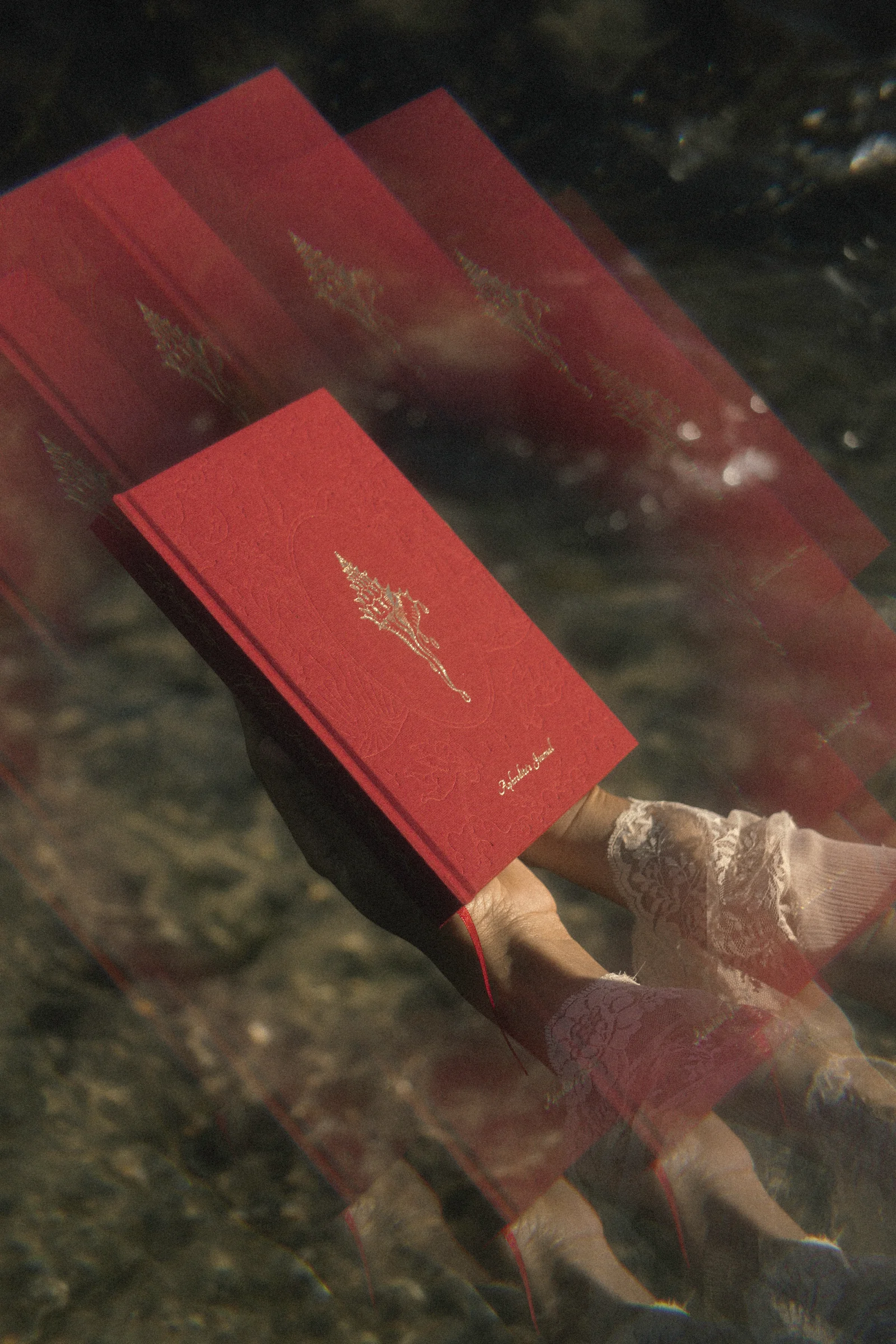 APHRODITE'S JOURNAL — slika 5