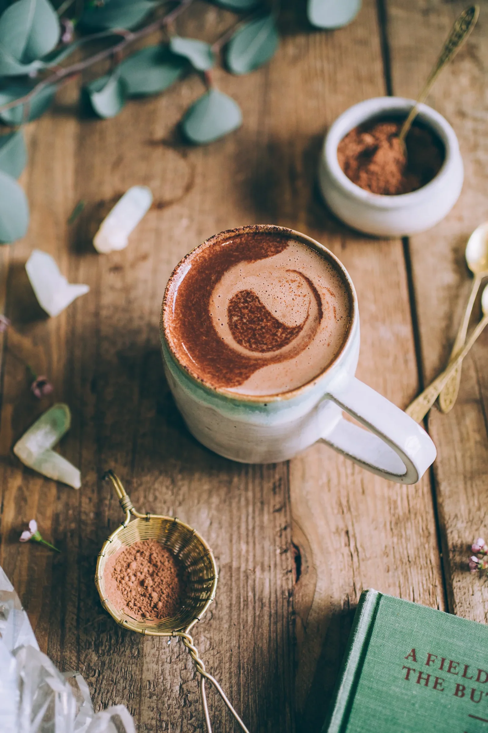 MUSHROOM MOCHA MLEKO | Sodoben napitek iz zakladnice gob — slika 3