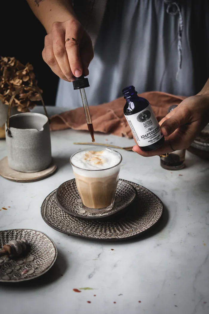 ADAPTOGENIC tonik | 7 tradicionalnih gob + camu camu — slika 4