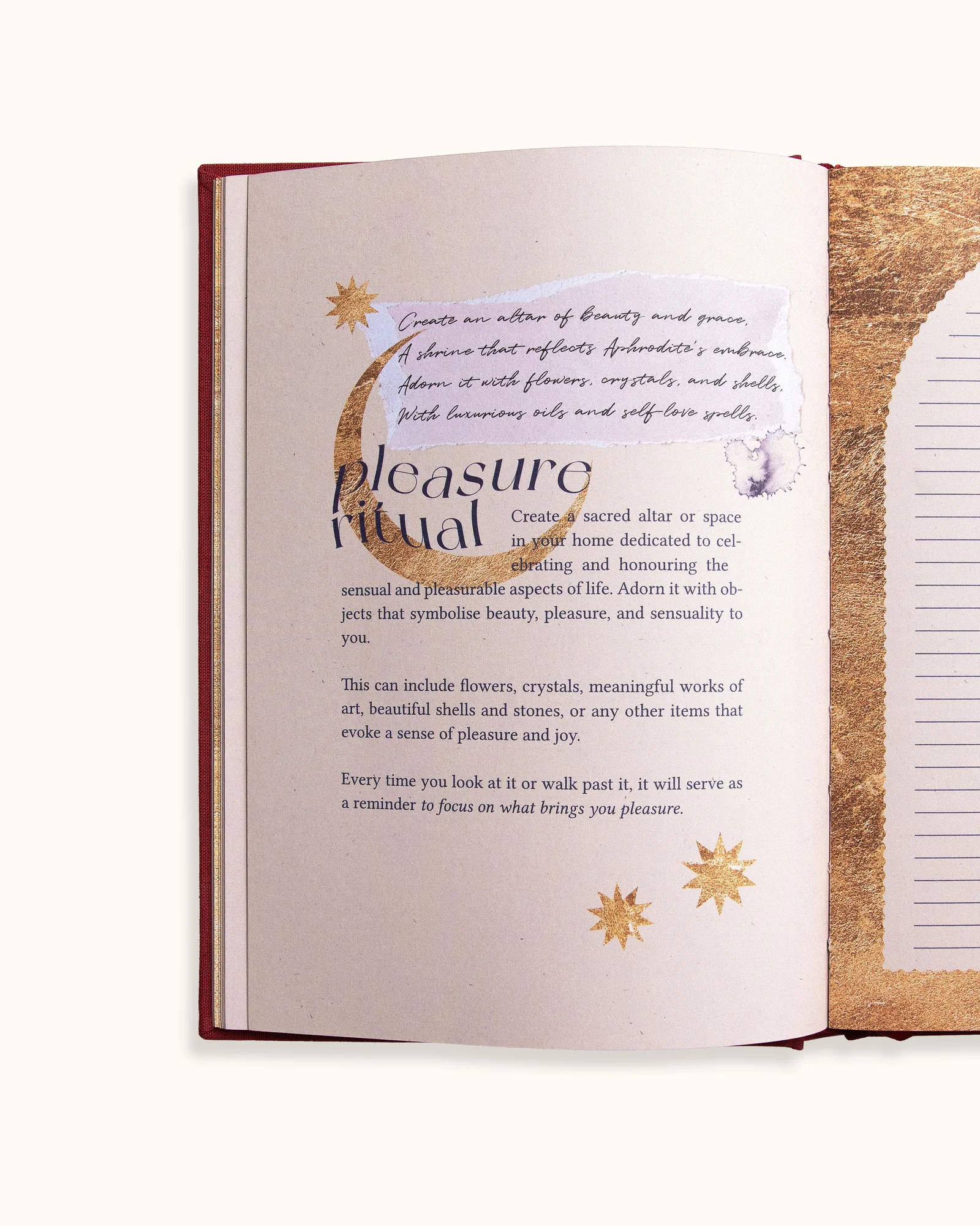 APHRODITE'S JOURNAL — slika 14