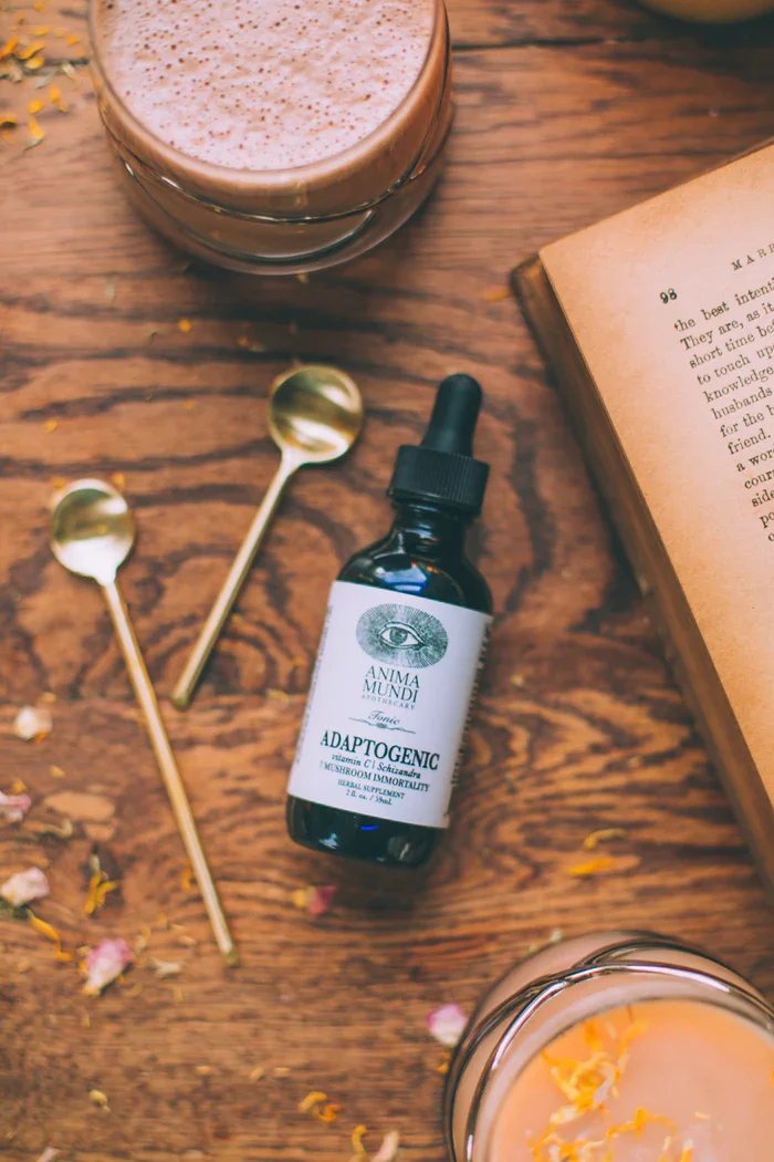 ADAPTOGENIC tonik | 7 tradicionalnih gob + camu camu — slika 7