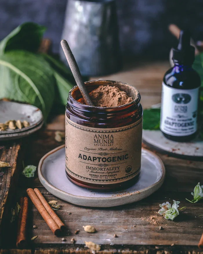 ADAPTOGENIC prah | 7 tradicionalnih gob + kakav — slika 2