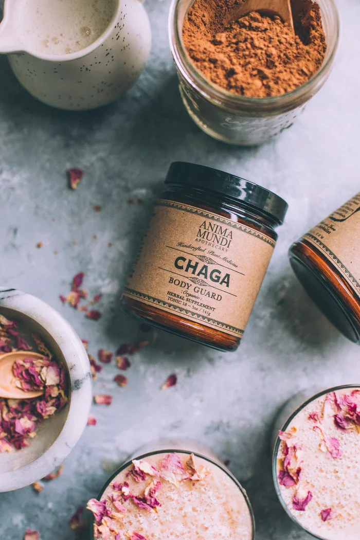 CHAGA | ritual počasnosti