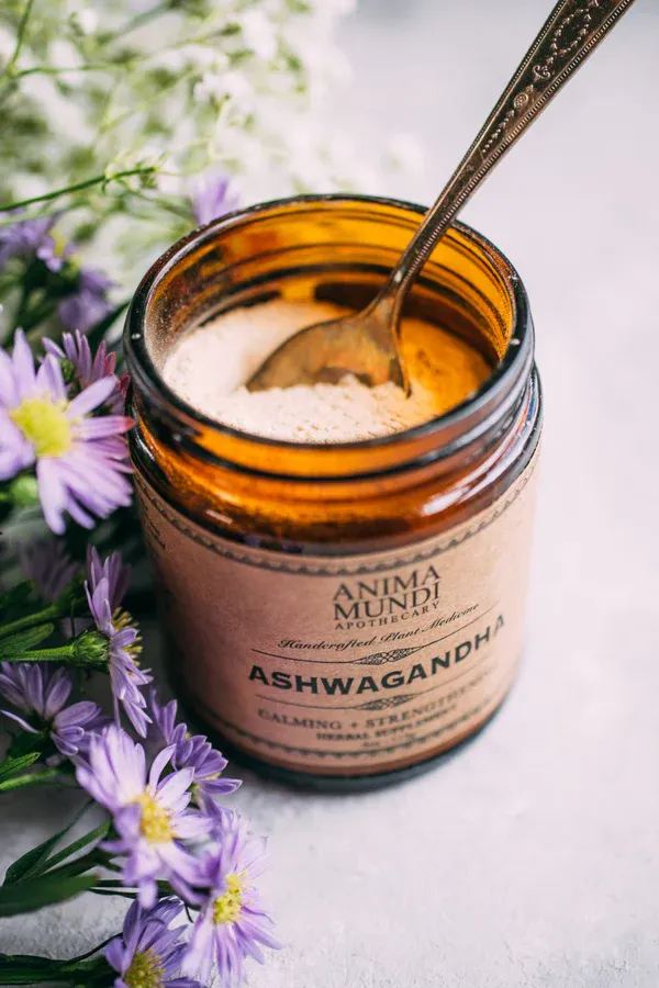 ASHWAGANDHA | Kraljica med koreninicami