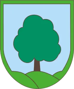 Mestna občina Ravne na Koroškem