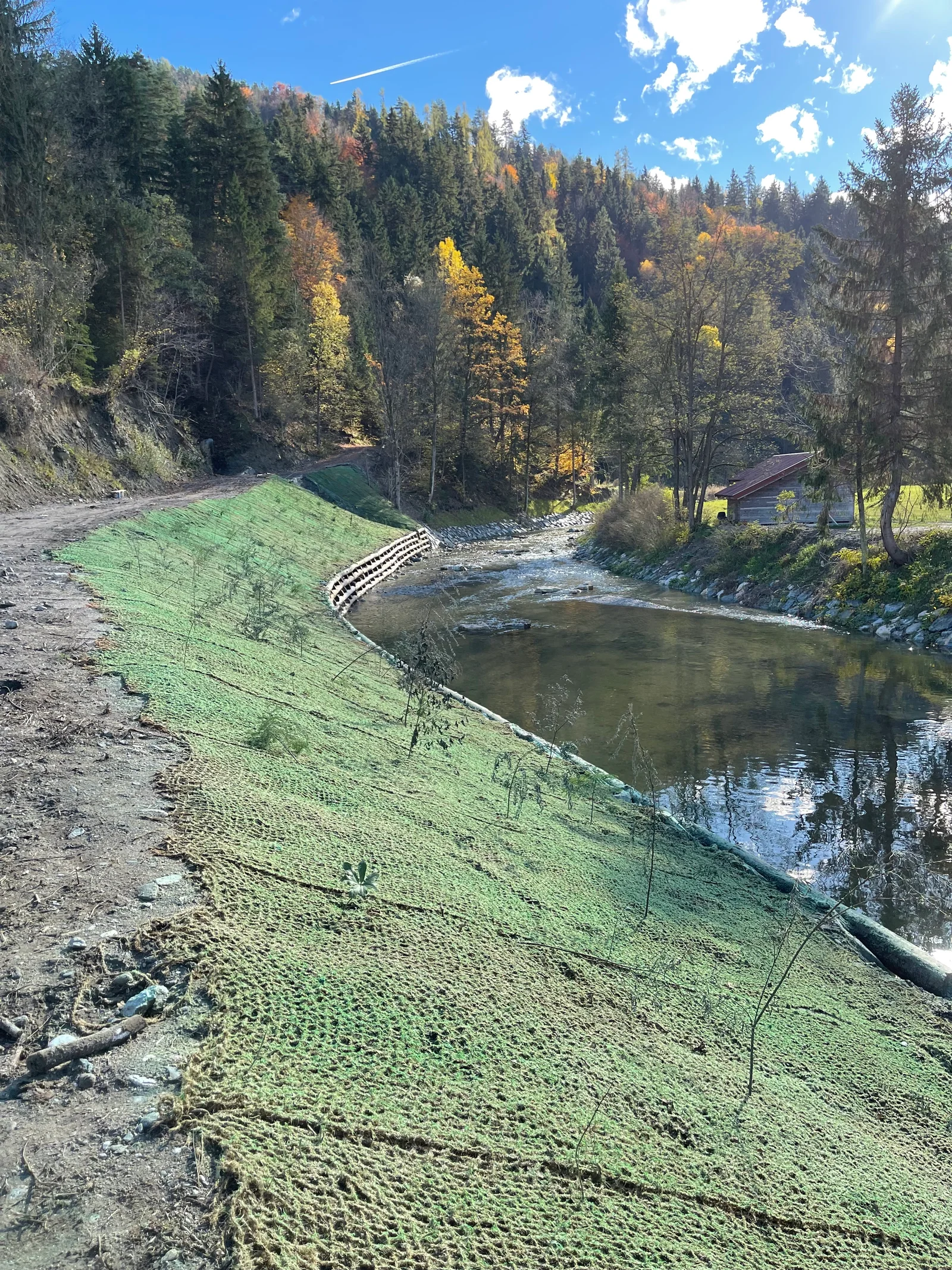 Vodna setev (hydroseeding) — brežina z zaščitno mrežo ob potoku