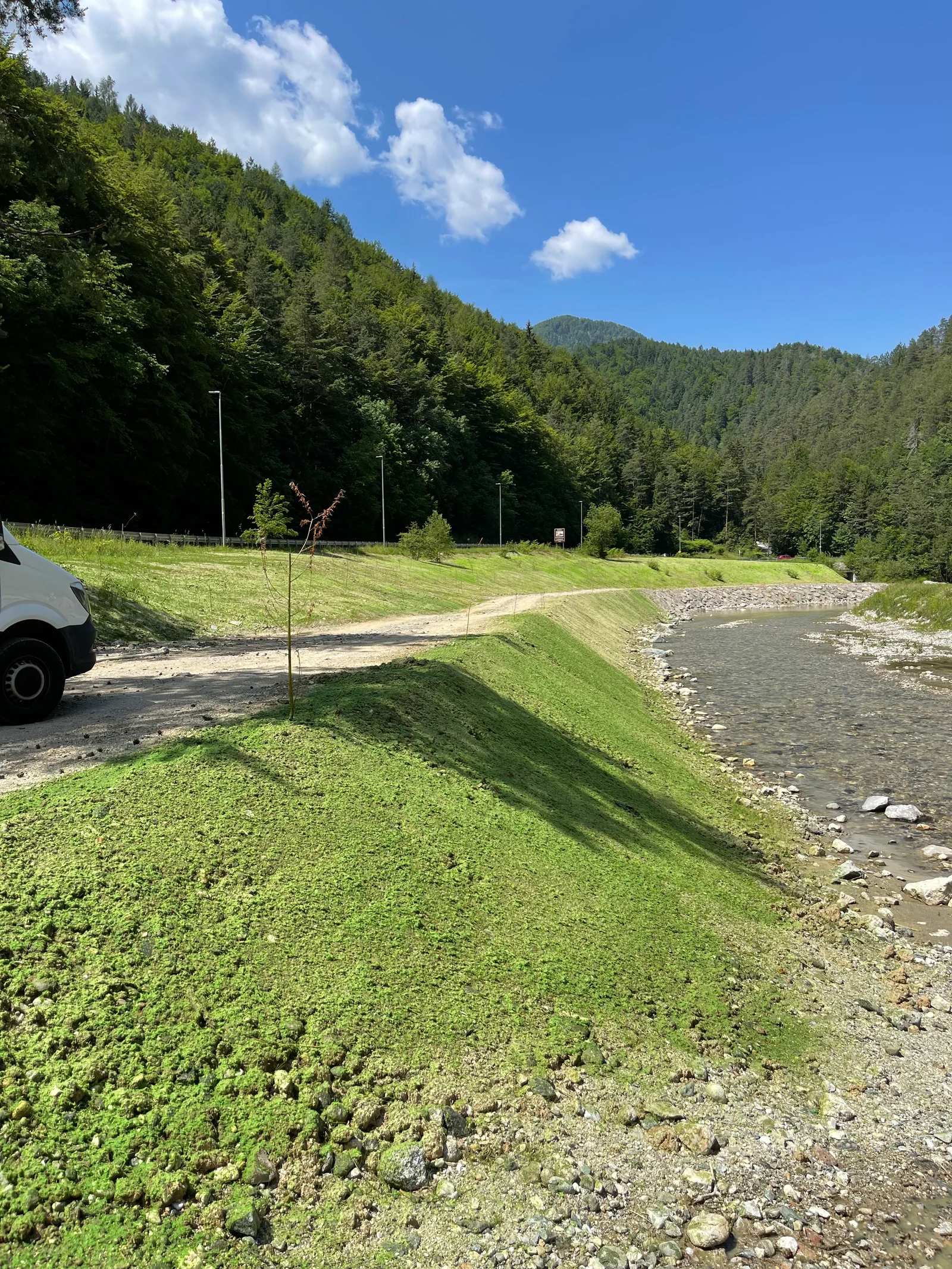 Vodna setev (hydroseeding) — sveže posejana brežina ob strugi